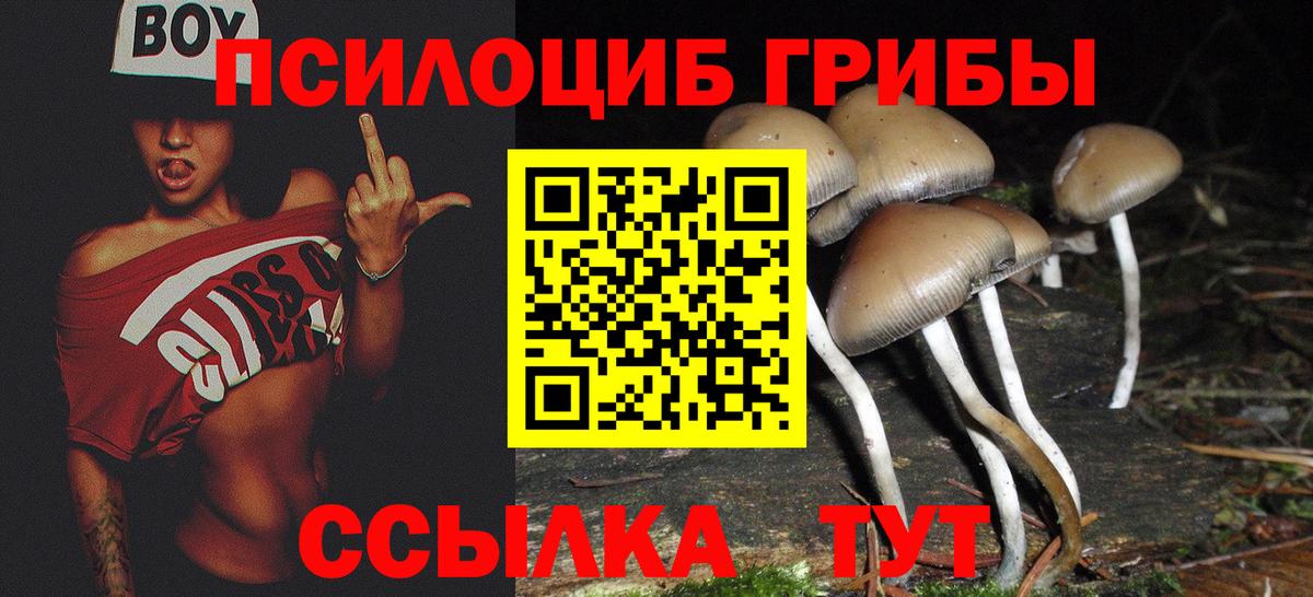 Галлюциногенные грибы мицелий Коммунар