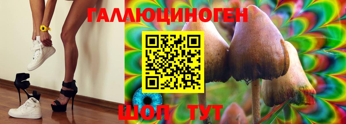 Галлюциногенные грибы Psilocybe  где купить наркоту  Вход с VPN  Коммунар  Галлюциногенные грибы Psilocybine cubensis 